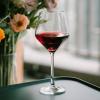 imageBtat Wine Glass Set Set of 12 15 oz Wine Glasses with Stem Long Stem Wine Glasses Crystal Wine Glasses Red Wine Glasses White Wine Glasses Stemmed Wine Glasses
