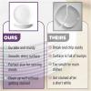 imageBrew To A Tea White Porcelain Dinner Plates Set of 6 105 Inch Classic Style Porcelain Construction Dinner PlatesWhite