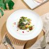 imageBrew To A Tea White Porcelain Dinner Plates Set of 6 105 Inch Classic Style Porcelain Construction Dinner PlatesWhite with Gold rim