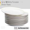 imageBrew To A Tea White Porcelain Dinner Plates Set of 6 105 Inch Classic Style Porcelain Construction Dinner PlatesWhite with Gold rim
