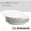 imageBrew To A Tea White Porcelain Dinner Plates Set of 6 105 Inch Classic Style Porcelain Construction Dinner PlatesWhite with Gold rim